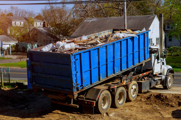 Best Basement Cleanout Services  in Forest City, FL